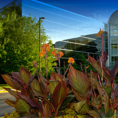 landscaping np 2 landscaping np 2